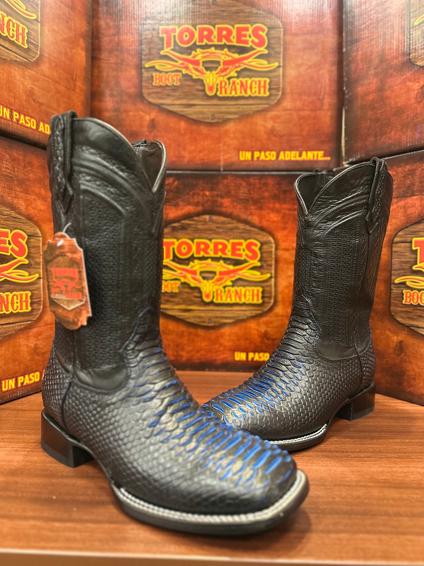 Python Azul Neon