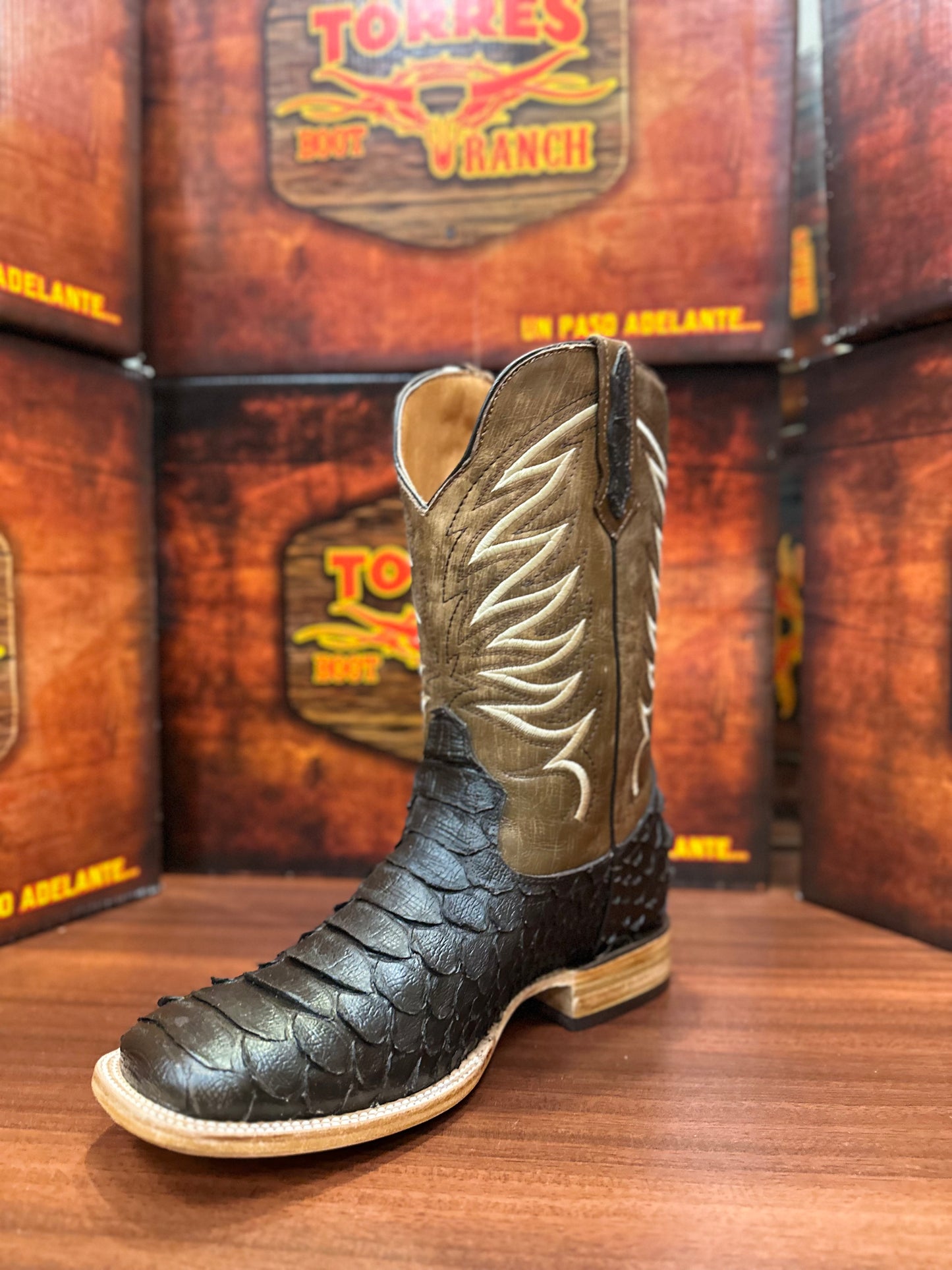 Torres Python Jumbo Cafe