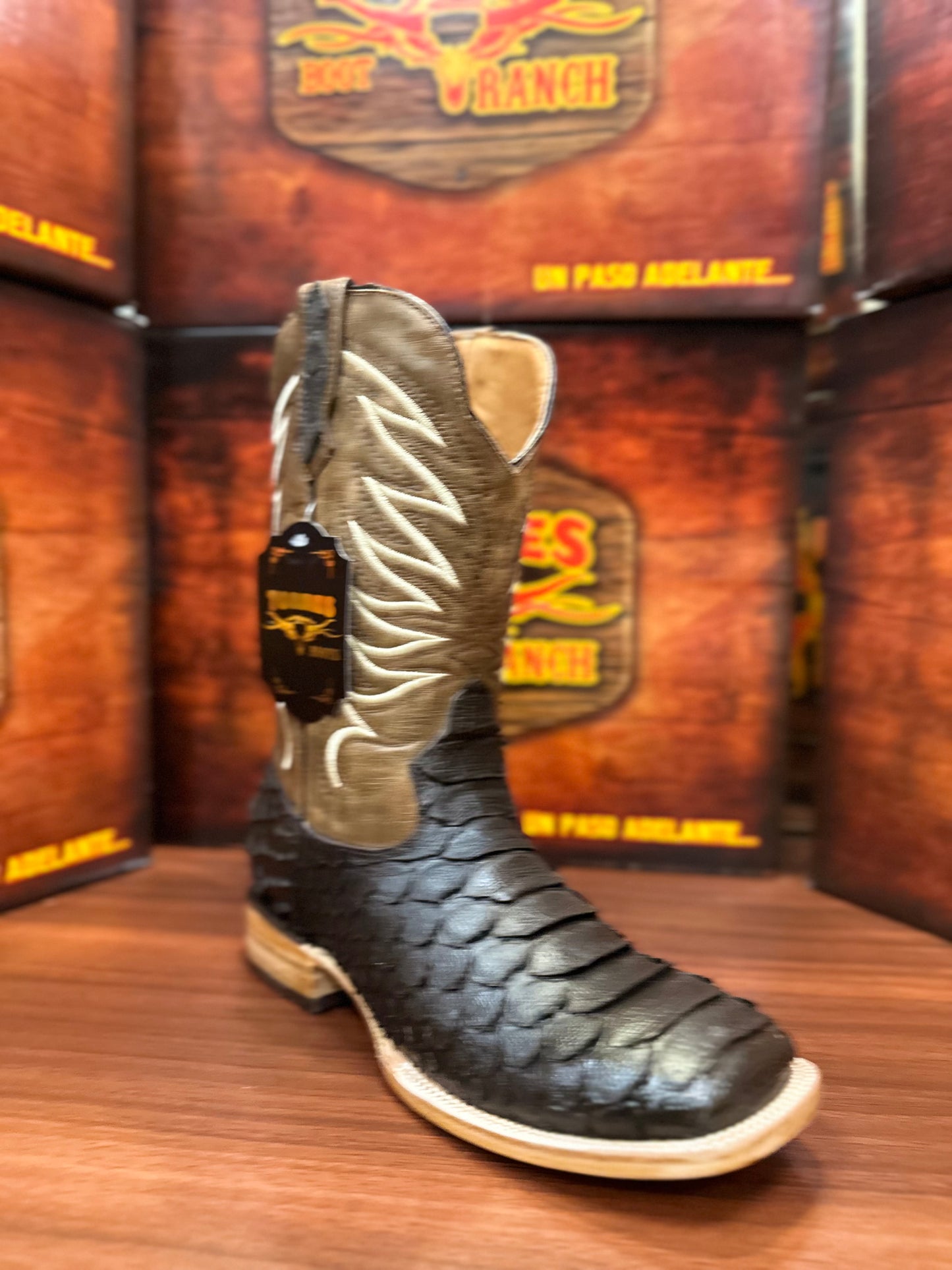 Torres Python Jumbo Cafe
